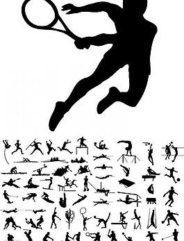 桥牌赛事数据统计平台发布