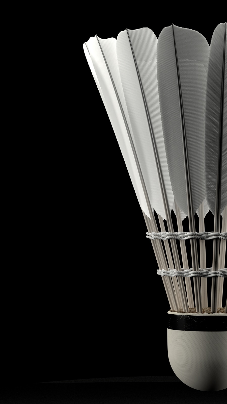 仅影响了附 仅影响了附