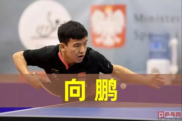 4投仅1中 4投仅1中